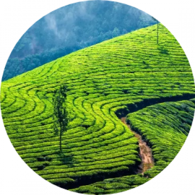 Munnar